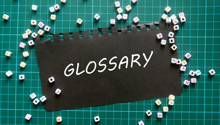 Glossary of Terms